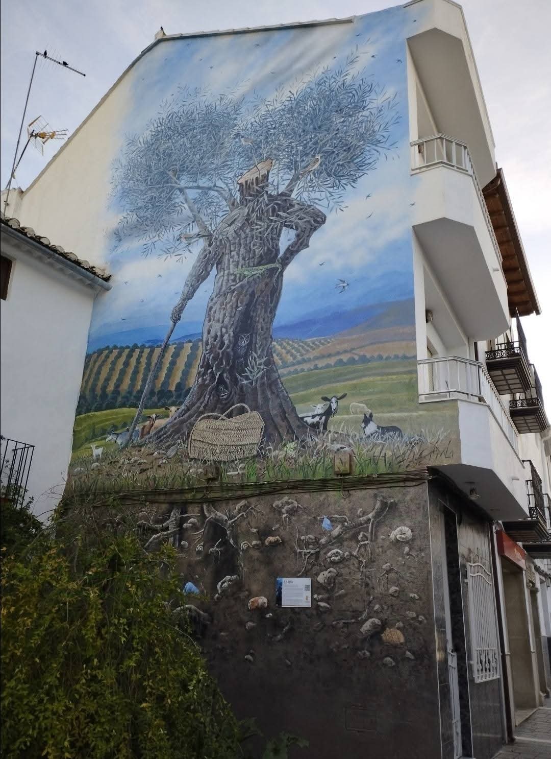 Mural del olivar — FB IMG 1740687315800