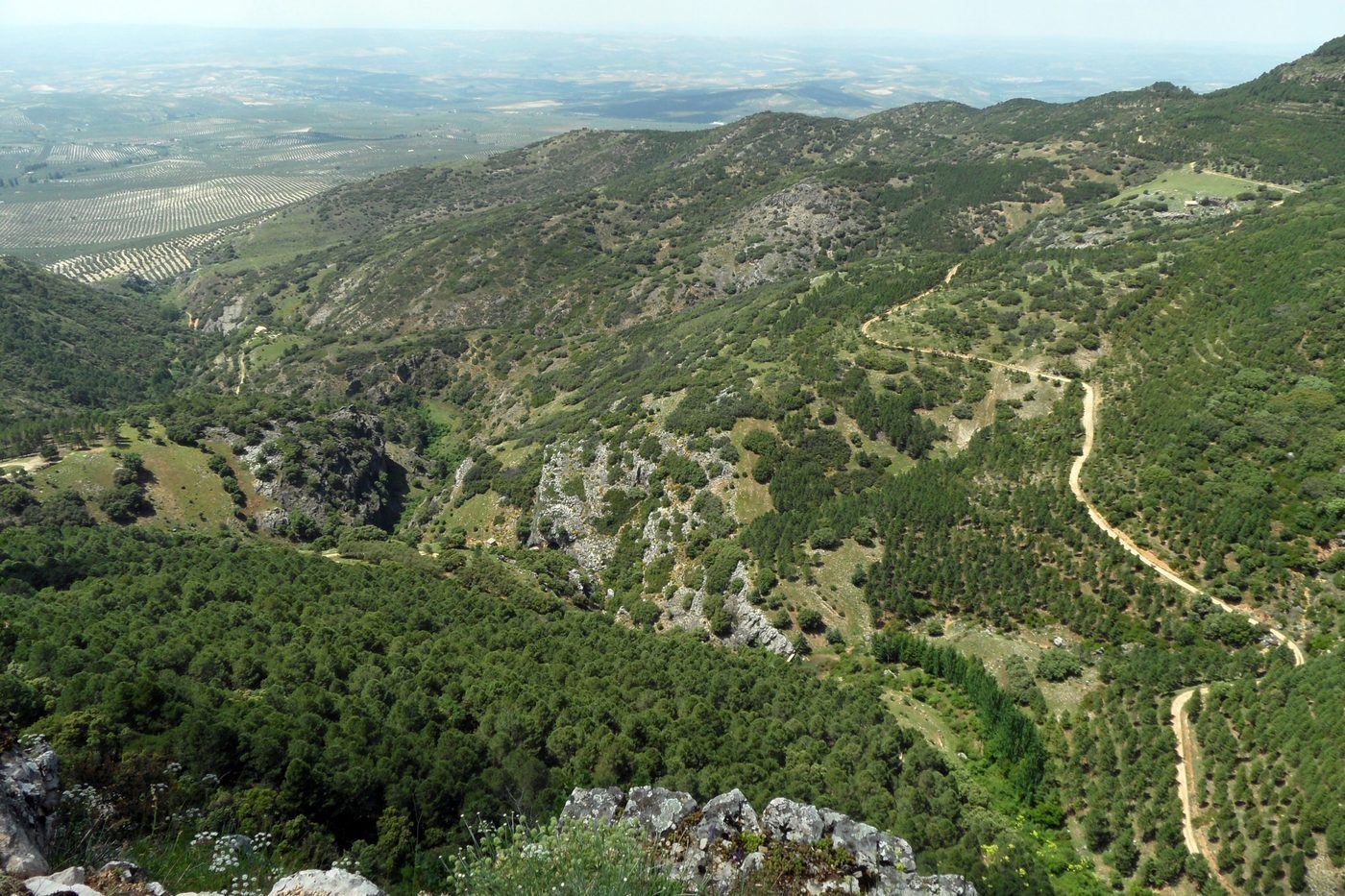 Vista desde el Mirador del Desfiladero del Chorro, Cazorla