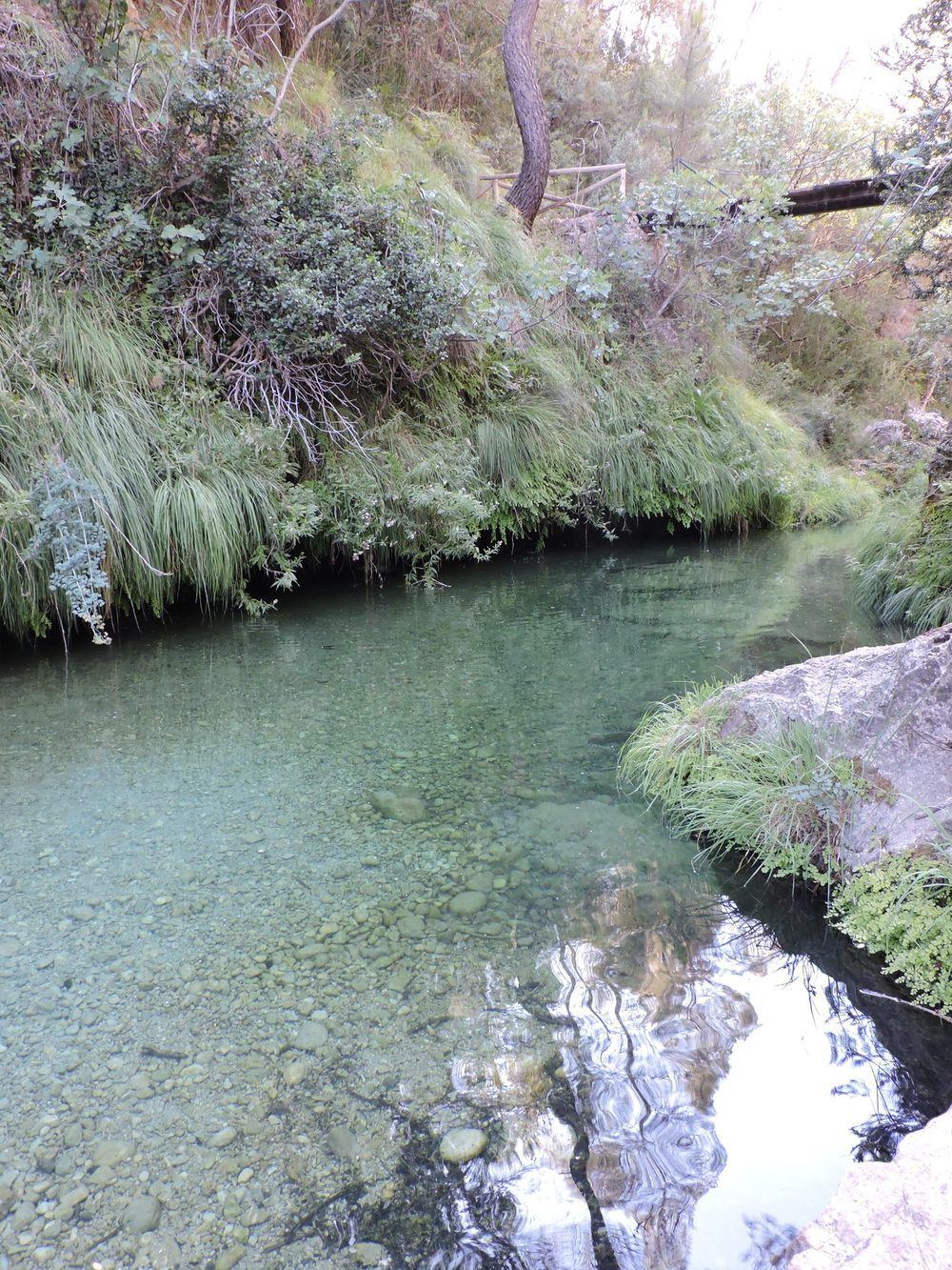 Río Borosa en la Sierra de Cazorla