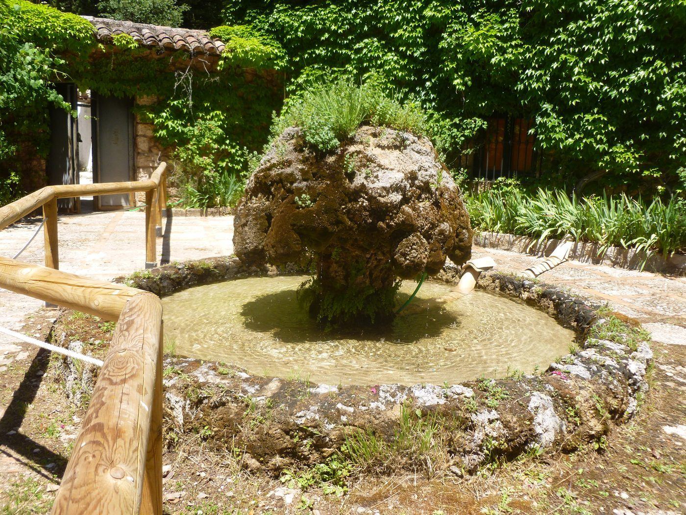 Jardín botánico de Torre del Vinagre, Sierra de Cazorla